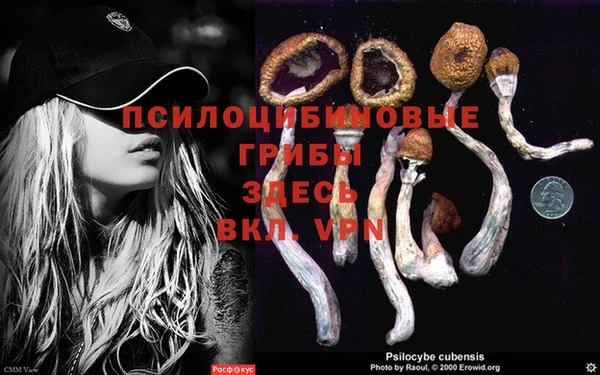 соль курить ск Алзамай