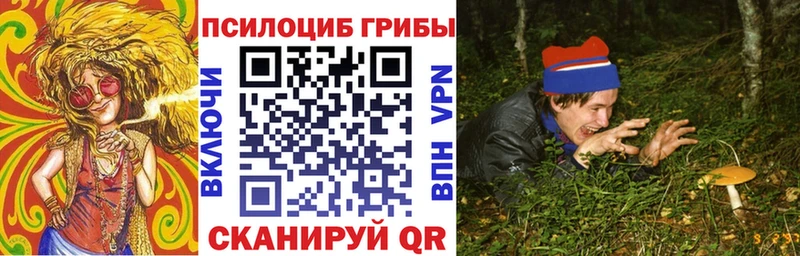 Псилоцибиновые грибы GOLDEN TEACHER Билибино